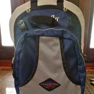 evenflo trailblazer hiking backpack
